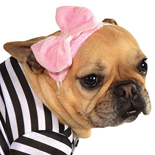 Rubie's 50S Girl Pet Costume, Small Review