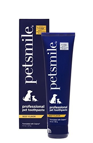 Petsmile Bulk Packs, Pet Toothpaste, Flavor: London Broil