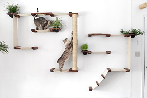 CatastrophiCreations Cat Mod Garden Complex Handcrafted Wall Mounted Cat Tree