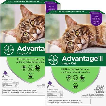 Bayer Animal Health 12 Month Advantage II Flea Control Large Cat
