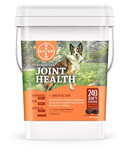 Bayer Synovi G4 Soft Chews Glucosamine Joint Supplement for Dogs