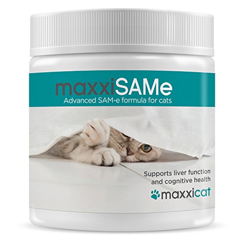 maxxicat - maxxiSAMe Advanced SAM-e Liver and Cognitive Function Supplement