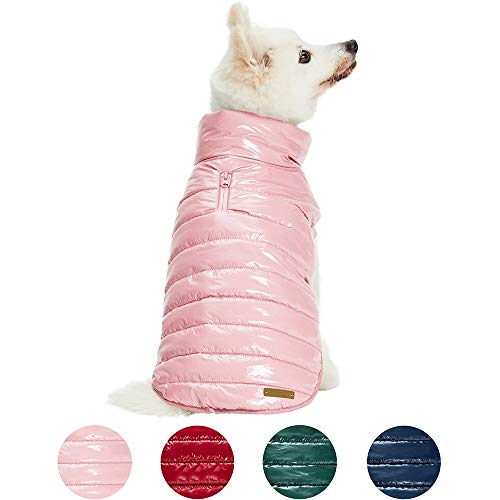 Blueberry Pet 2020 New Cozy & Comfy Windproof Lightweight Quilted Fall Winter