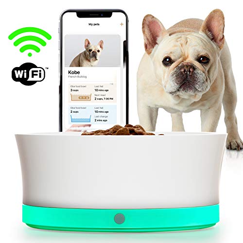 Obe ProBowl Smart Dog Food Bowl for Small Dogs | Award Winning Water Monitor and Precise Portion Control for Personalized Feeding, Tracking and Reordering Food Automatically | No Feeder | White