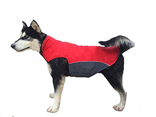 BONAWEN Waterproof Dog Coat for Winter Autumn Cold Weather Dog Jacket