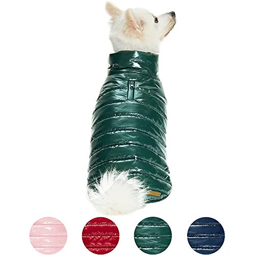 Blueberry Pet 2020 New Cozy & Comfy Windproof Lightweight Quilted Fall Winter