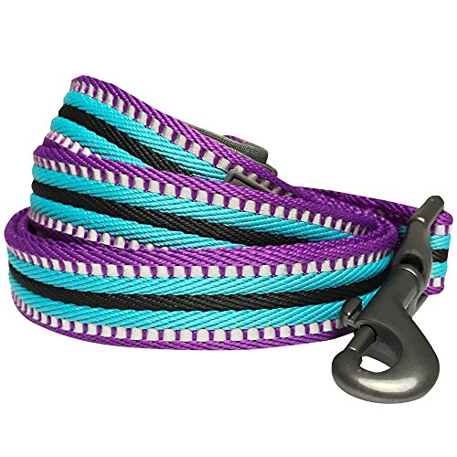 Blueberry Pet 8 Colors 3M Reflective Multi-Colored Stripe Dog Leash