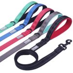 Vivaglory Dog Training Leash with Padded Handle, Heavy Duty 6ft Long