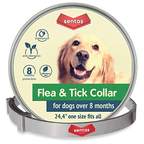 Dog Flea and Tick Collar - Flea and Tick Prevention for Dogs Up to 1 Year