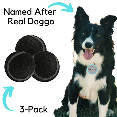 Aioli Dog Toys | Indestructible Dog Ball Dog Products, Indestructible Dog