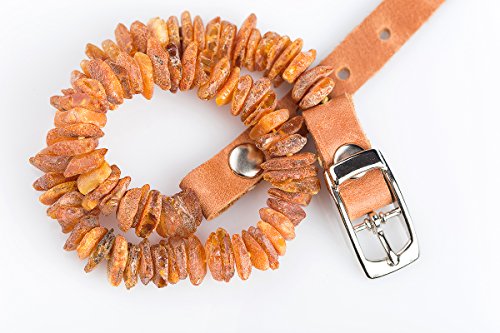 Baltic Amber Collar for Dogs and Cats. The Power from The Nature Best