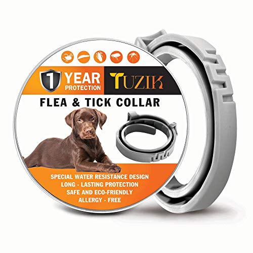 TUZIK Flea Collar for Dogs - 12 Months Flea and Tick Prevention