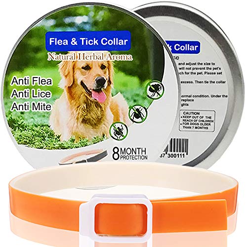 PAWPAL Adjustable Flea and Tick Collar for Dog and Cat, Lasts 8 Months