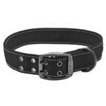 Max and Neo MAX Reflective Metal Buckle Dog Collar