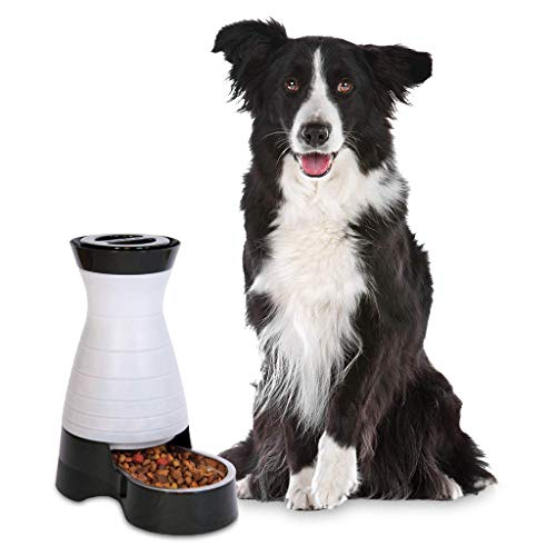 PetSafe Healthy Pet Gravity Dog and Cat Food Station, Stainless Steel Bowl