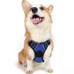 rabbitgoo No Pull Dog Harness with Handle Adjustable Dog Padded Harness