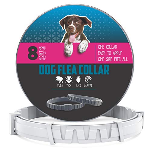 Dog Flea and Tick Control Collar - Treatment and Prevention for Dogs