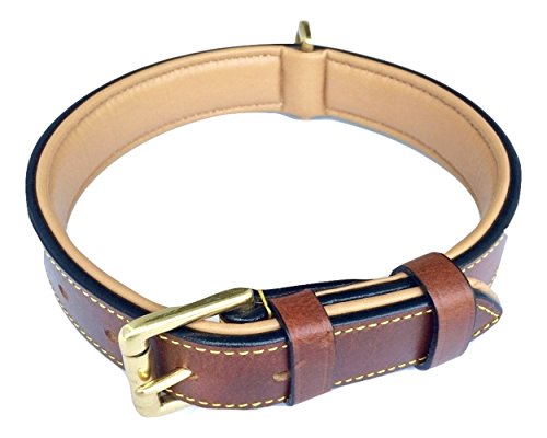 Soft Touch Collars Padded Leather Dog Collar, Brown Medium, Made with Real Genuine Leather, Best for Male or Female Dogs, 20" Inches Long x 1" Inch Wide, Fits Neck Size 14.5" to 17.5"