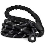 Strong Dog Leash, Reflective Rope, Chew Proof Paracord for Medium and Large Dogs