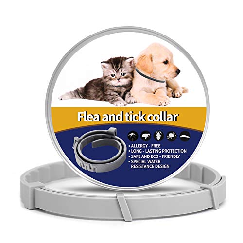 INDREMY Pet Collar for Dogs and Cat for 8-Month Validity Period Adjustable