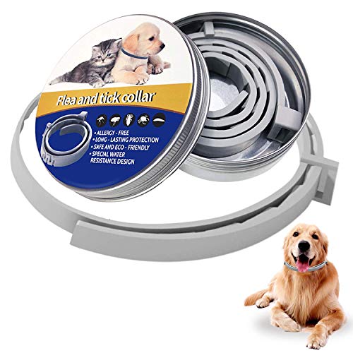 1 Pack Flea and Tick Control Adjustable Waterproof Collar Protect for Dogs and Cats