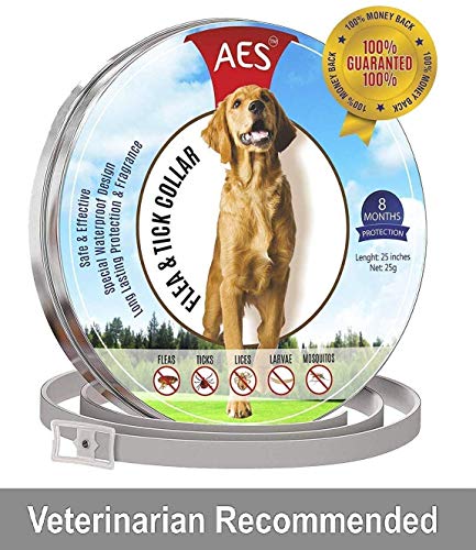AF Dog Flea and Tick Control Collar - 8 Months Flea and Tick Control for Dogs