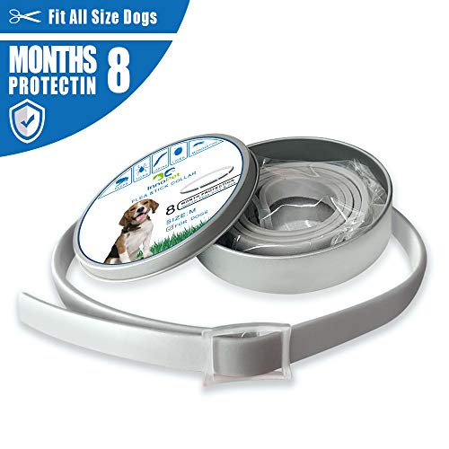 Fleas and Collars for Dogs, 8 Months of Protection, Treatment and Prevention