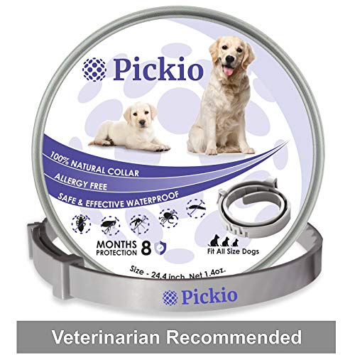 Pickio Dog Flea and Tick Collar - Flea and Tick Prevention for Dogs Easily Adjustable