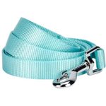 Blueberry Pet Essentials 19 Colors Durable Classic Dog Leash 5 ft x 5/8"