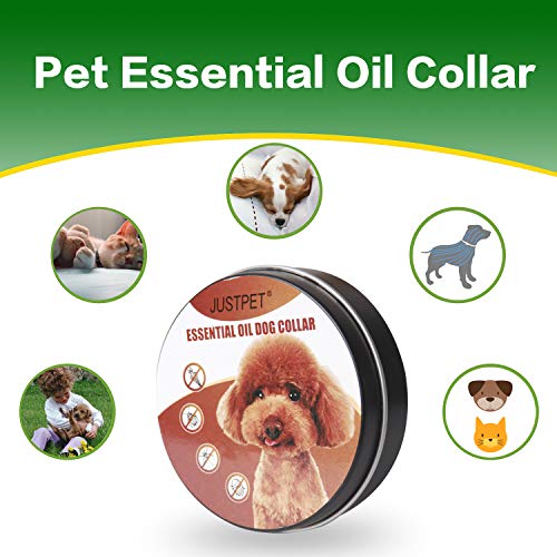 OKPET Flea Tick Prevention for Dogs - 12 Month Protection Collar