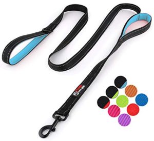 Primal Pet Gear Dog Leash 6ft Long - Traffic Padded Two Handle