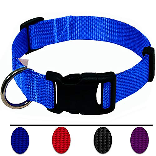 AEDILYS Adjustable Nylon Dog Collar Classic Solid Colors for Small Sized Dogs Neck 11-17 inch