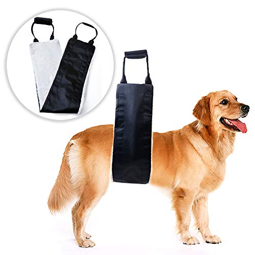 Dog Lift Support and Rehab Harness for Weak Rear Legs, Soft Sling Assist The Dog Who are Senior, Injured, Disabled and After ACL Surgery (Black)