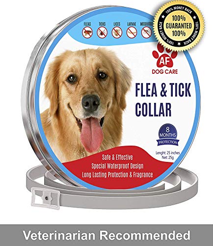 AF Dog Flea and Tick Control Collar - 8 Months Flea and Tick Control for Dogs