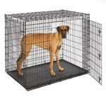 MidWest Homes for Pets XXL Giant Dog Crate | 54 Inch Long Ginormous Double