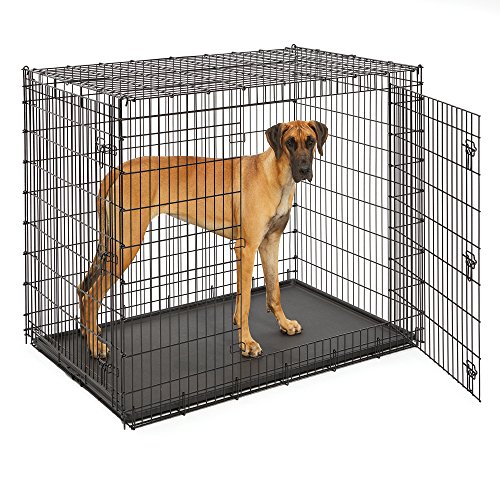 MidWest Homes for Pets XXL Giant Dog Crate | 54 Inch Long Ginormous Double