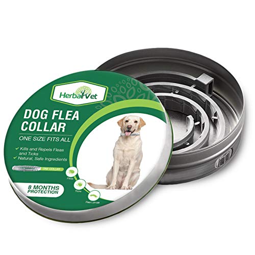 HerbalVet Dog Flea Collar for Flea and Tick Treatment and Prevention for Dogs