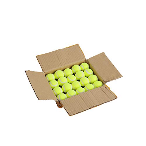 LUCKYERMORE Mini Dog Fetch Tennis Ball-2 Inch Super Bounce Interactive Toy