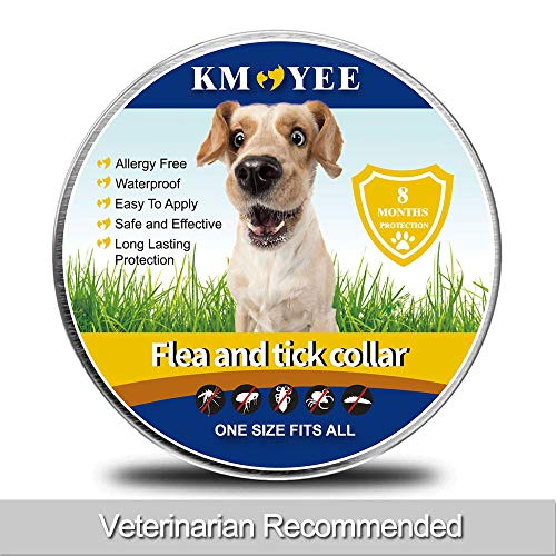 KMOYEE Collar for Dogs, 8 Months Treatment and Prevention