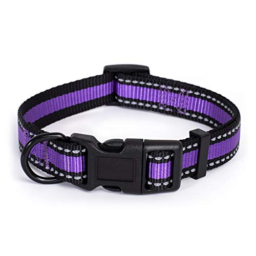 Mile High Life Dog Collar | Reflective 3M Stripe with Nylon Band (Purple/Black, Large Neck 15"-19" -55 lb)