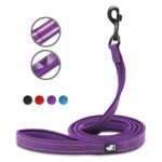 Heavy Duty Dog Leash, Best Reflective Dog Lead, Strong Nylon Pet Leash