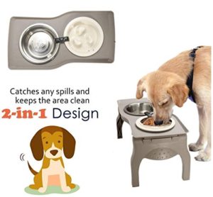 Elevated Pet Bowl Stand for Medium Dogs with Slow Feeder Bowl