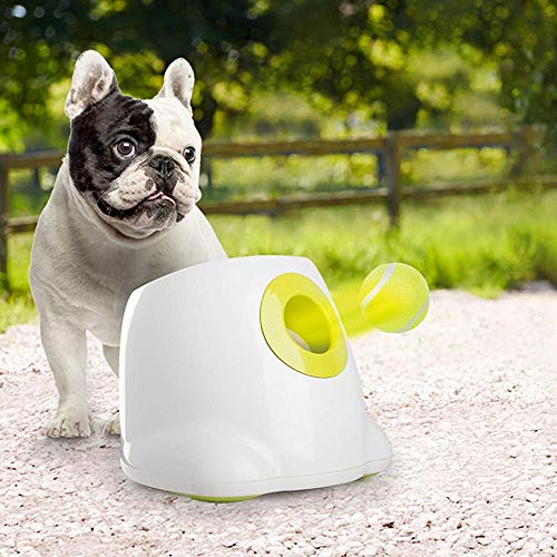 All for Paws Interactive Automatic Ball Launcher Dog Toy
