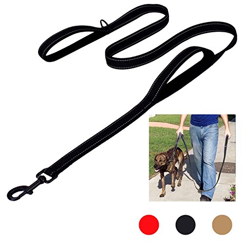 Bacoby 3M Reflective Dog Leash 5ft Long with Traffic Padded Handle