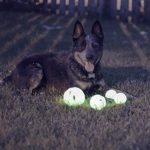 Chew King Ball, 4 Piece Glowing Fetch Ball, Dog Ball Toys, Fits Ball Launcher