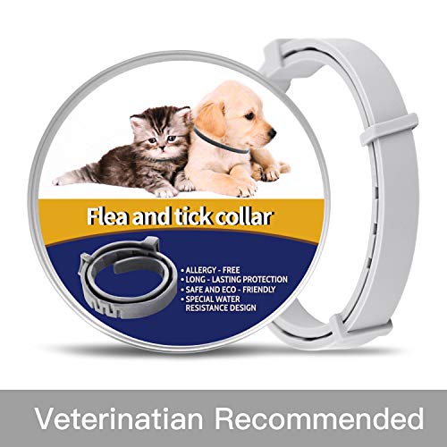 Upgraded Pet Collar For Cats, Dog Collar Adjustable WaterProof