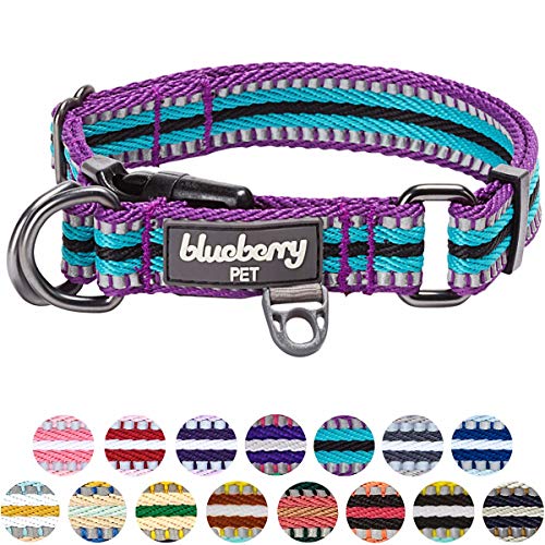 Blueberry Pet 15 Colors 3M Reflective Multi-Colored Stripe Adjustable Dog Collar, Violet and Celeste, Medium, Neck 14.5"-20"
