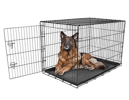 Carlson Pet Products Secure and Foldable Single Door Metal Dog Crate