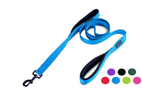 Wagtime Club Double Padded Dog Leash: Ultimate