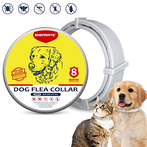 PETRIBE Collar for Dogs & Cats,Natural Ingredient, 8-Month Prevention